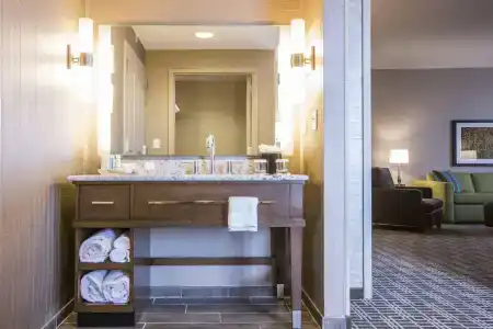 Hampton Inn Houston Downtown - 5