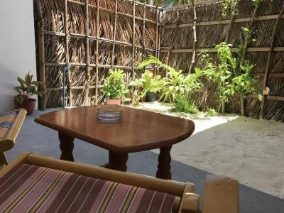 Palm Garden - 57