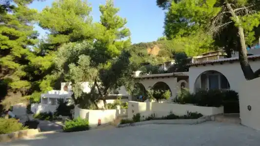 Alonissos Beach Bungalows And Suites - 151