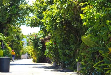 Coldio Pool & Villas Sumuide - 83