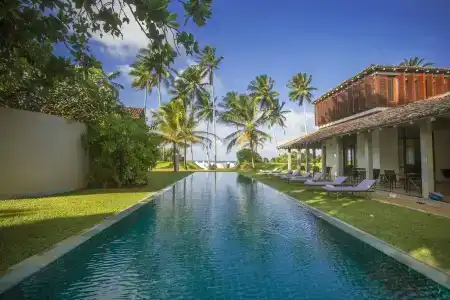 The Frangipani Tree by Edwards Collection - 15