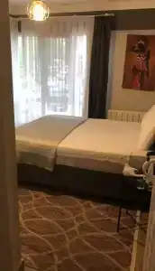 Lion Boutique - 19