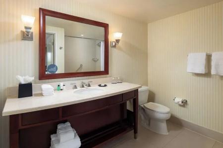Sheraton Carlsbad Resort & Spa - 70