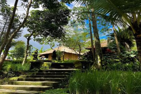 Ubud Sari Health Resort - 17
