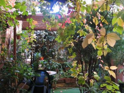 The Garden - 14