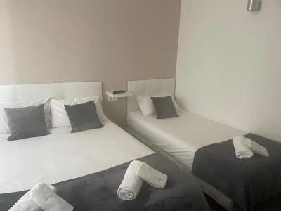 Hôtel Anna Livia - 52
