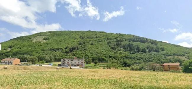 Il Gabbiano - 4
