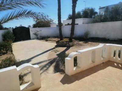 Menzel Caja - 47