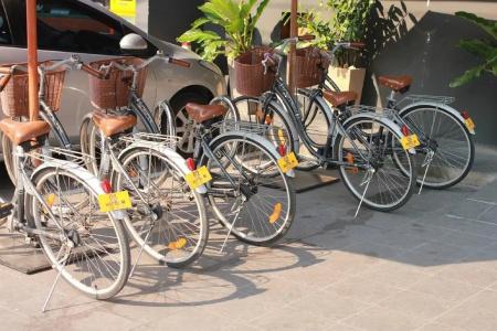m Chiang Mai - 22