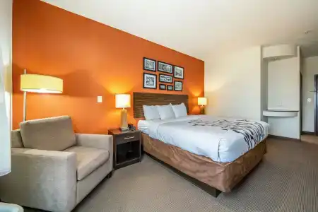 Restwell Inn & Suites I-45 North - 38
