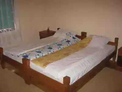 Guest house Pribojska Banja - 1