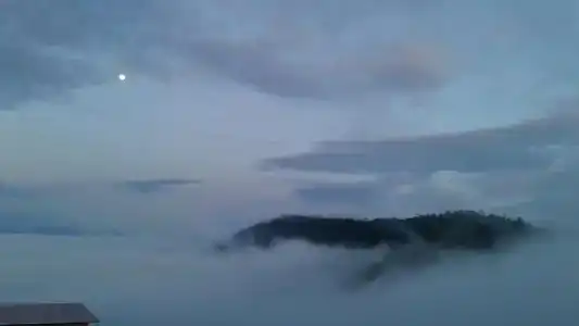 Khao Kho Tree Top - 54