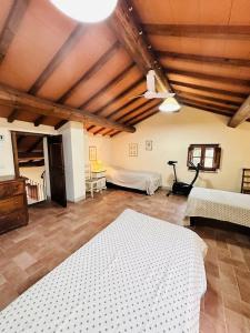 Molenda b&b - 74