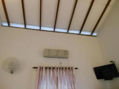 Lavender Hills - 2