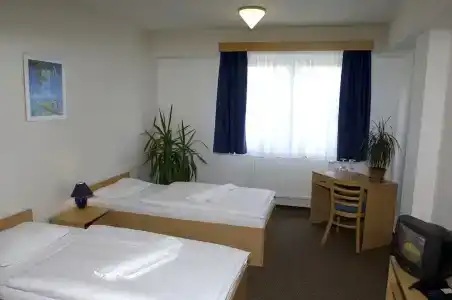 Arena - 29