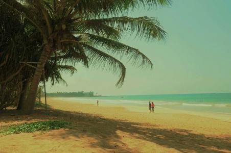 Serendib Beach - 21