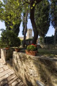 Drogheria e Locanda Franci - 98