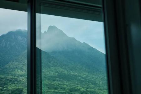 Jr Yakushima - 27