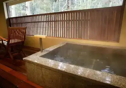 Hakone Suishoen - 8