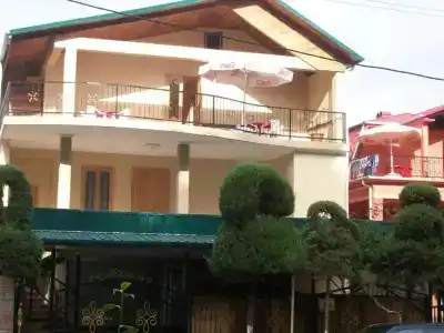 Magnolia Agmashenebeli - 15