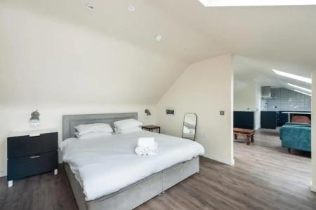 No. 53 Frederick Street - 31