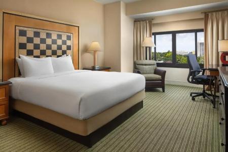 Hilton Orlando Lake Buena Vista - Disney Springs™ Area - 29