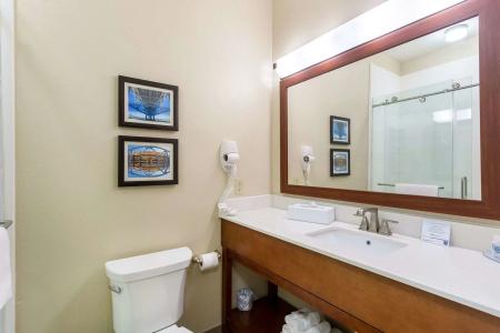 Comfort Inn & Suites Airport - 9