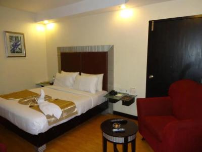 Regenta Central Deccan Chennai, Royapettah - 52