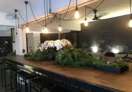 9.5Chiangmai - 26