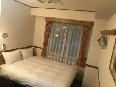 Toyoko Inn-eki Minamiguchi-migi - 29