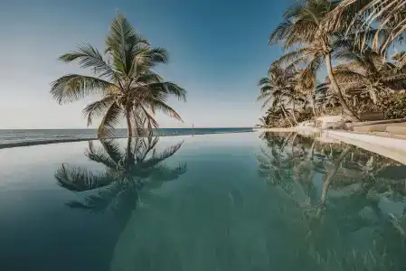 Papaya Playa Project - 23