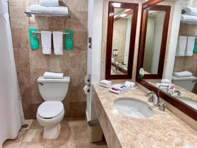 Holiday Inn Merida, An Ihg - 8