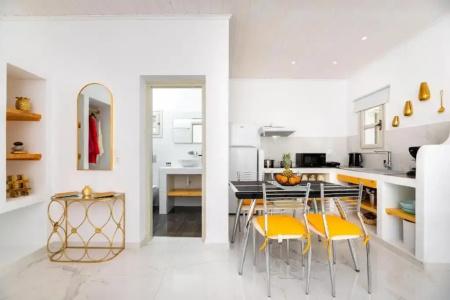 Petri Suites - 137