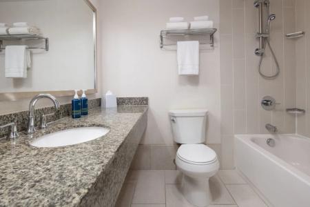 Four Points by Sheraton & Conference Center - 36