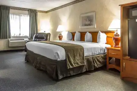 Quality Inn & Suites - 24