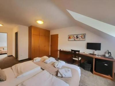 Zenit Wellness Balaton - 31