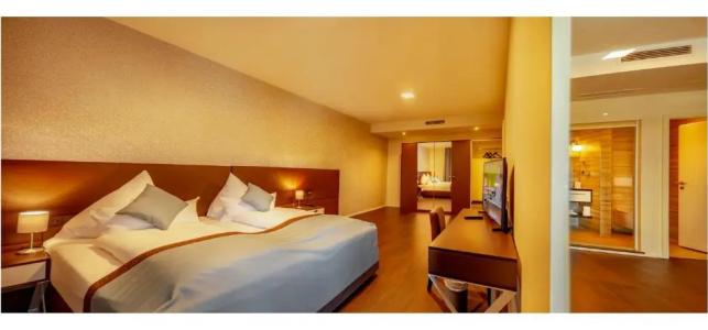 Trip Inn Conference & Suites - 23