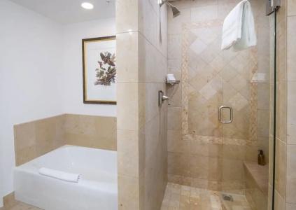 The Collection at the Ritz Carlton Residences - 89