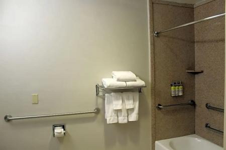 Holiday Inn Express & Suites Tucson Mall, An Ihg - 39