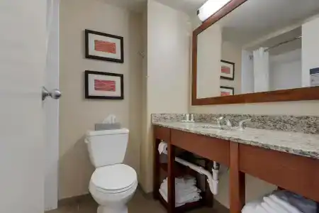 Comfort Inn The Pointe - 8