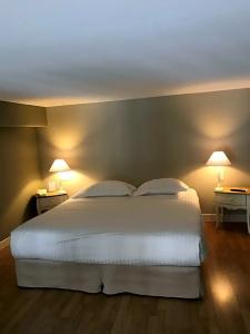 Best Western Le Renoir - 66