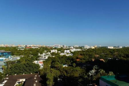 Courtyard Miami Coconut Grove - 35
