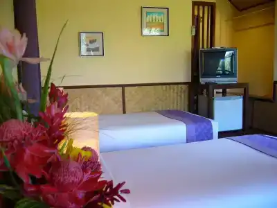 Pura Vida - 1