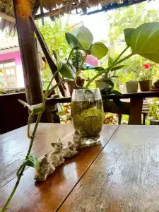Thai Guesthouse - 45