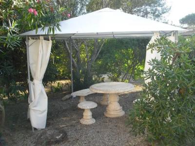Garden - 8