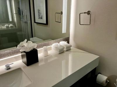 Sheraton Oceanfront - 59