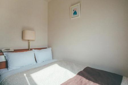 Kuretake-Inn Kakegawa - 29