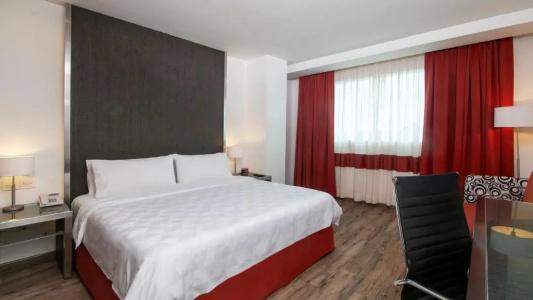 Holiday Inn Buenavista, An Ihg - 35