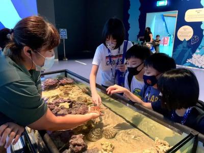 Resorts World Sentosa - Crockfords Tower (SG Clean) - 27