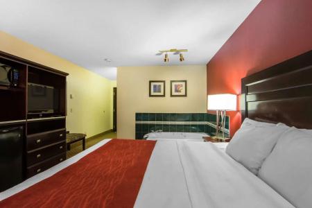 Comfort Inn & Suites Airport South - 31